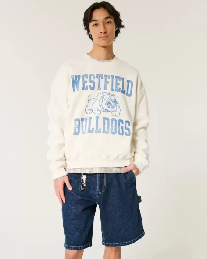 Baggy Denim Painter Shorts Baggy Denim Painter Shorts