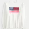 Hollister Comfy Cloud American Flag Graphic Crew Sweater