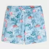 Mid-Thigh Volley Swim Trunks