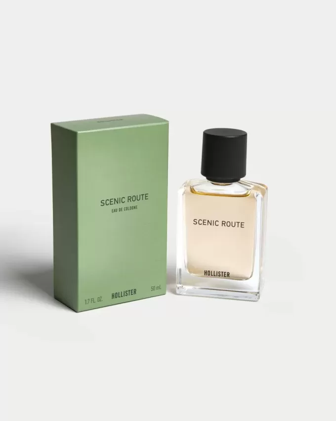 Scenic Route Cologne